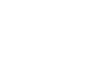 3 logo white