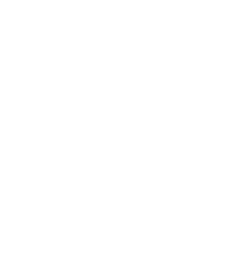 BT logo white