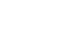 Sky logo white