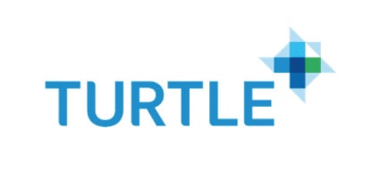 Turtle logo