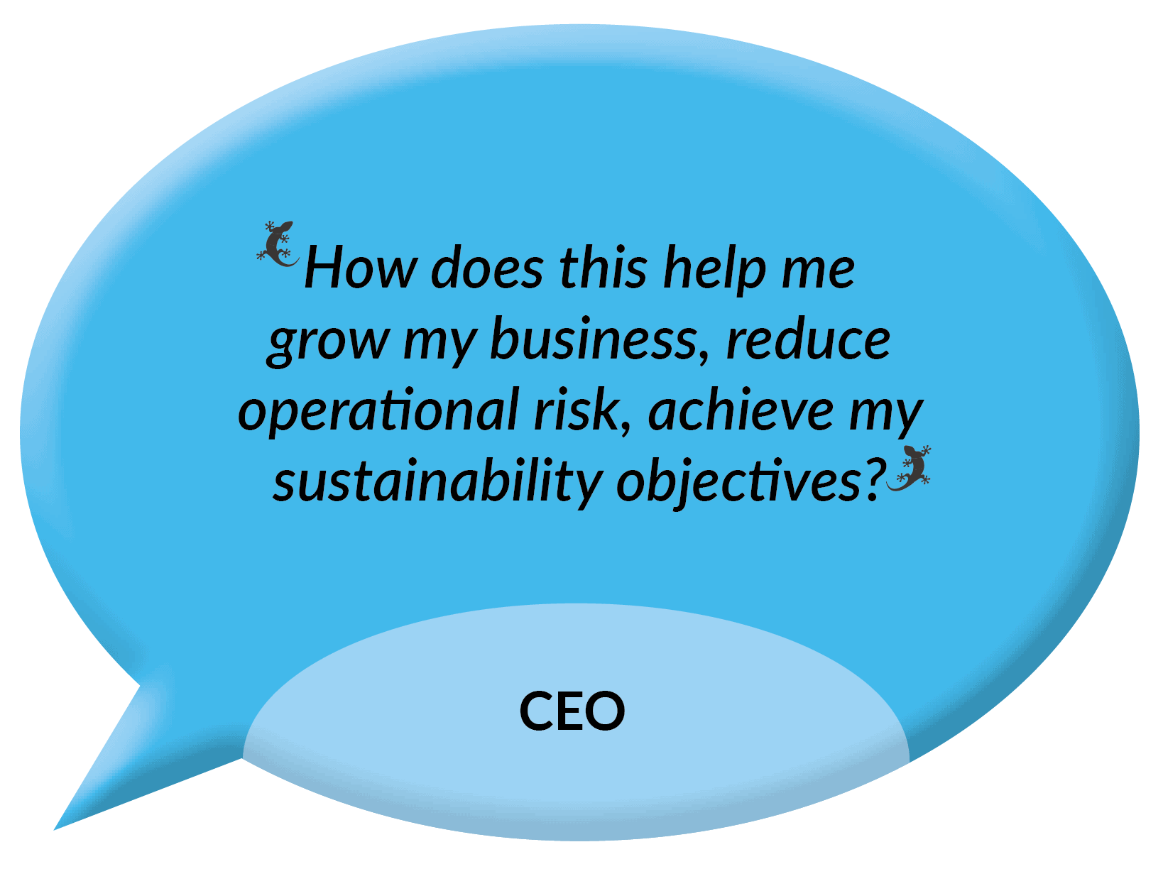 How does this help me grow my business, reduce operational risk, achieve my sustainability goals? - CEO