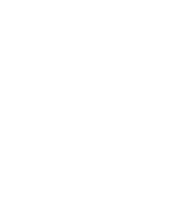 Digital twin icon