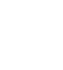 Accelerated ROI icon